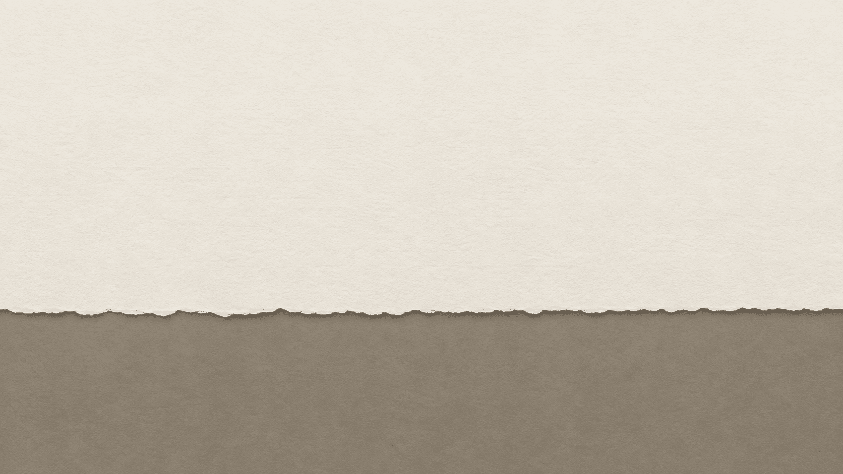 The straight deckled edge of a sheet of blank paper crossing the frame on a plain ground.